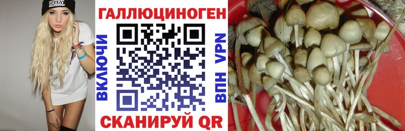 площадка какой сайт  OMG как войти  Иннополис  Галлюциногенные грибы мухоморы 